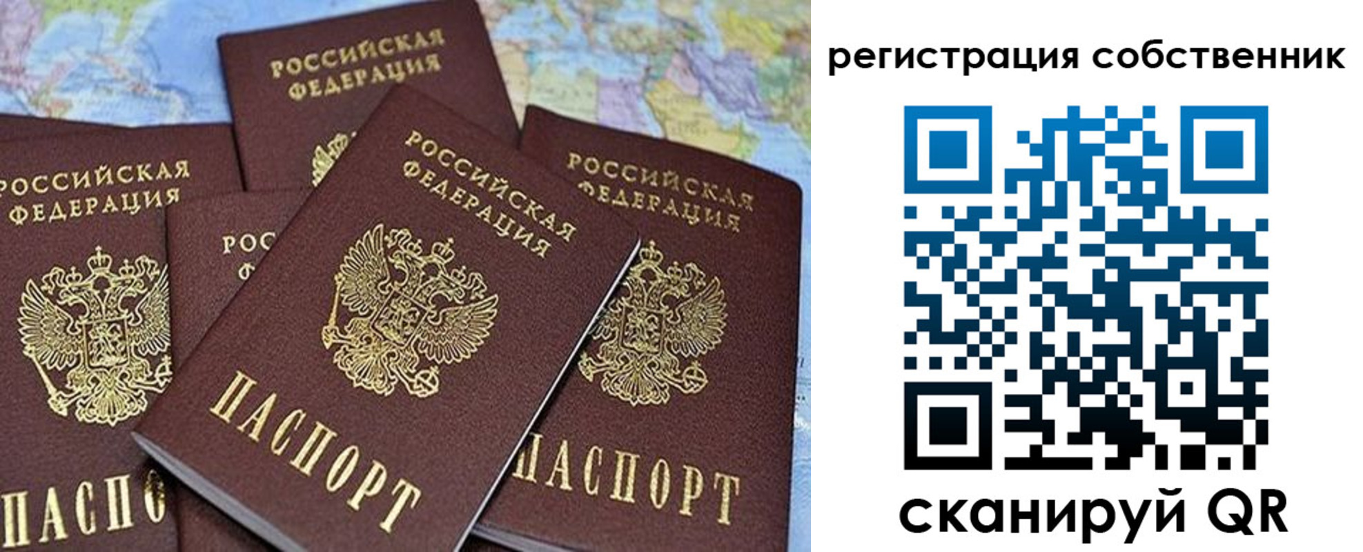 прописка для школы в Гатчине